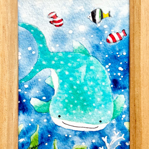 透明水彩画 ミニ額「悠々ジンベイザメ」イラスト プチギフト