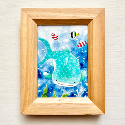 透明水彩画 ミニ額「悠々ジンベイザメ」イラスト プチギフト