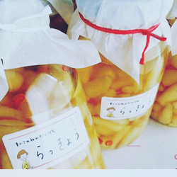 大人気！鹿児島産らっきょう　サイズL ぬか床 2枚目の画像