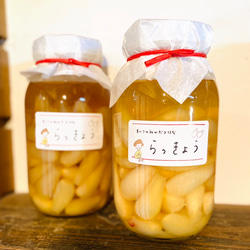 大人気！鹿児島産らっきょう　サイズL ぬか床 1枚目の画像