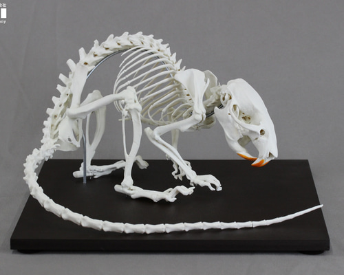 fed7aa046be5ea9650dfc0293b1be0