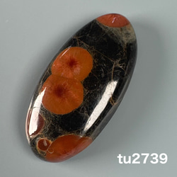 パームルートアゲート[60] 55x23mm 63Cts 天然石 ／ ルース