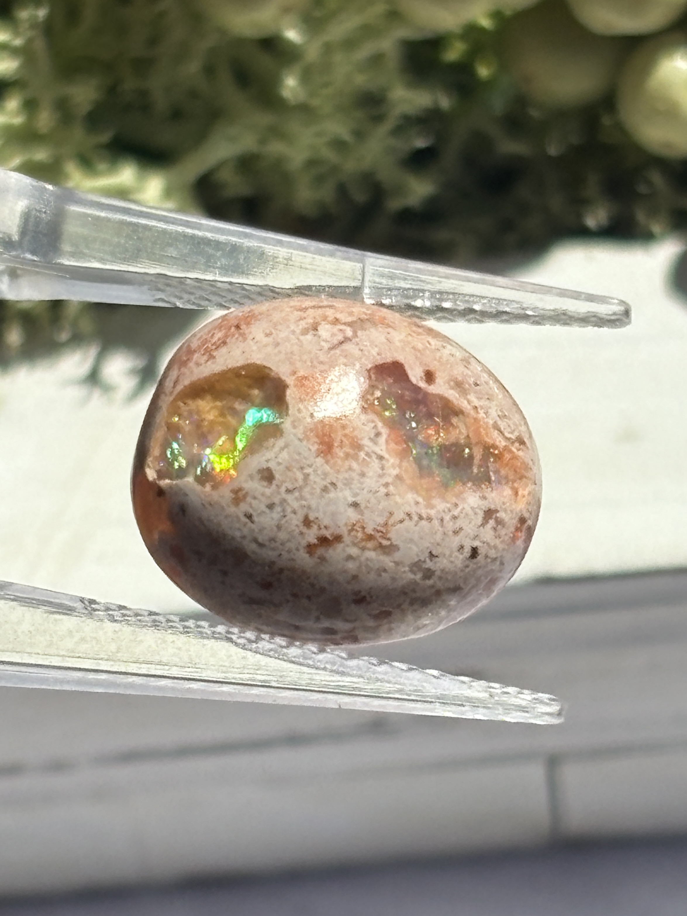 二つの窓を持つ♢カンテラオパール 母岩付きオパール ルース 43 天然石 天然色