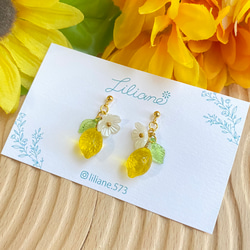 Urban Outfitters☆ カラフルなフルーツ型・MIX ピアスセット plusnao ピアス フルーツピアス 野菜 トロピカル サマー 夏