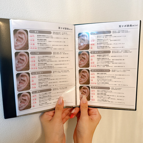 耳ツボジュエリー | 耳つぼ辞典mini vol.1 | 耳つぼマップ その他