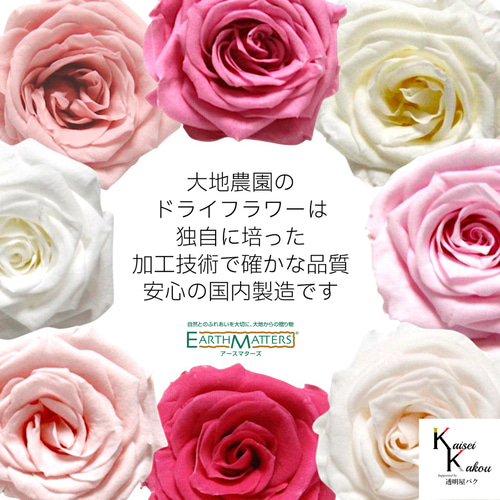 大地農園 「ローズかのんM レッド 1輪」 プリザーブドフラワー バラ 花