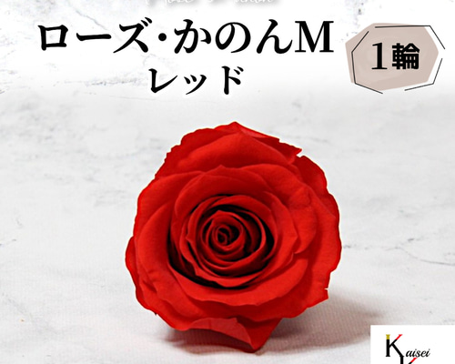 a2dc8848d3ebe36c87d3b9bcfbc5f8