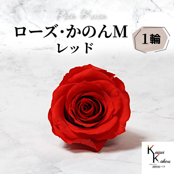 大地農園 「ローズかのんM レッド 1輪」 プリザーブドフラワー バラ 花