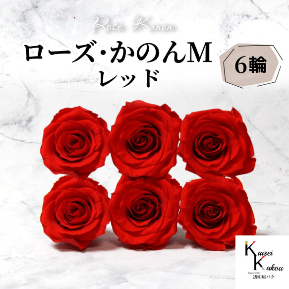 プリザーブドフラワー ローズ バラ 薔薇 大地農園 いずみ かのんM 合計