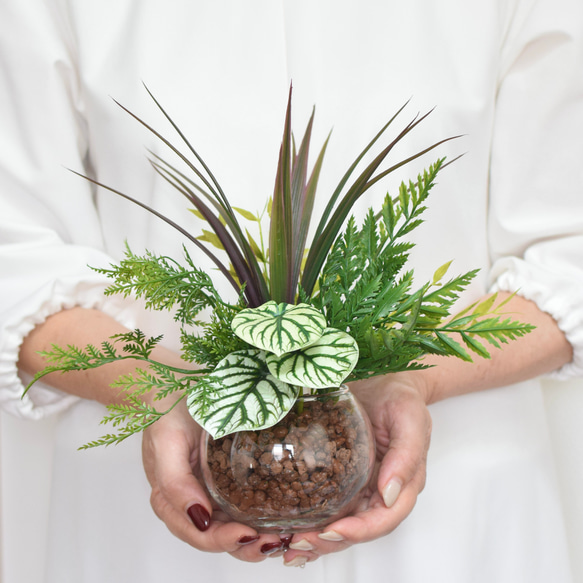 助けて観葉植物セット 草花苗 山野草 1号 2苗セット 盆栽 ミニ 育てやすい 寄せ植え 和風