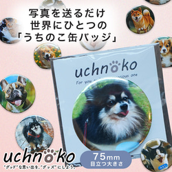 うちの子グッズ 犬 猫 缶バッジ 44mm 犬猫グッズ 愛犬グッズ 写真を