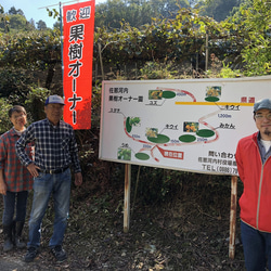 【お茶にして飲めるジャム】キウイ（徳島県佐那河内産） 7枚目の画像