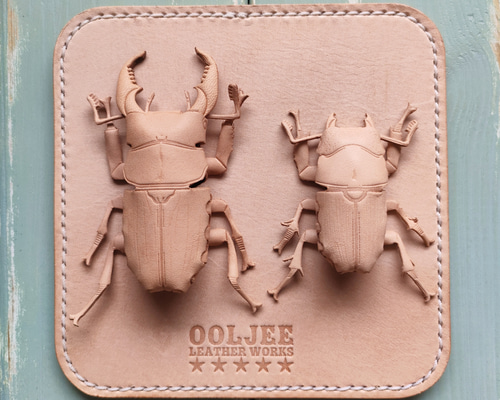 手作りのクワガタ I tried to draw a Phalacrognathus stag beetle realistically