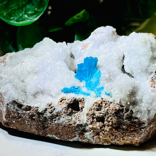 スチルバイト共生　解放のストーン　カバンサイト　原石ラフストーン スチルバイト共生 解放のストーン カバンサイト 原石ラフ