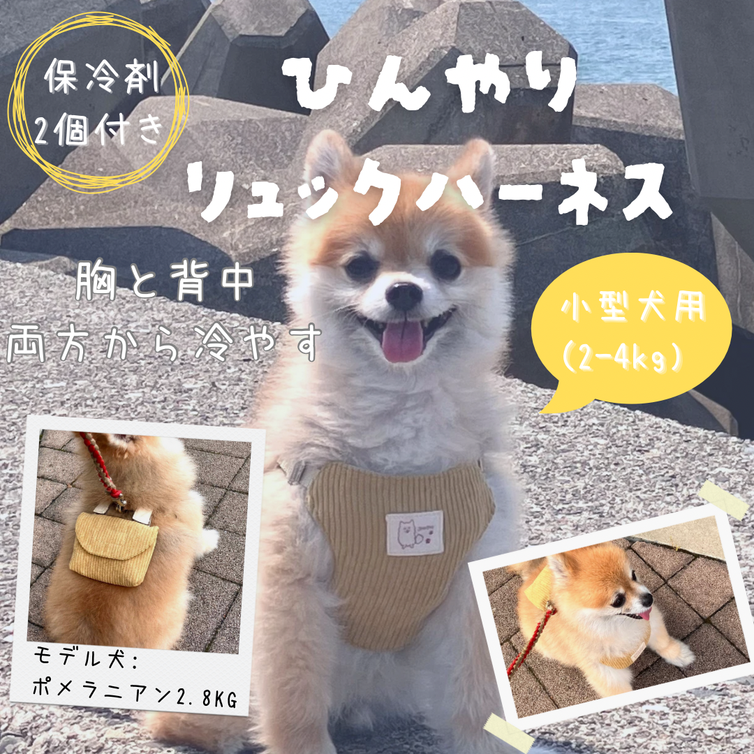 【保冷剤付き】ひんやりリュックハーネス 小型犬用