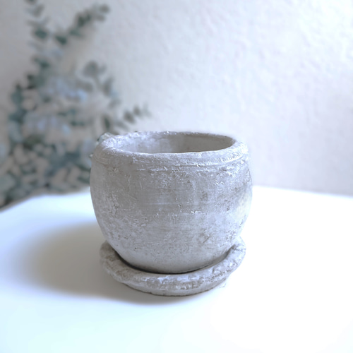 ○空気浄化植物○希少 ”サンスベリア ケニア ラウンドアッシュグレー鉢