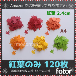 □紅葉のみ 120枚□クラフトパンチいちょうもみじ秋9月10月11月葉っぱ