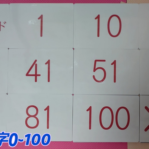 新品〘0歳から始める〙ドッツカード【0〜100】算数記号、袋付