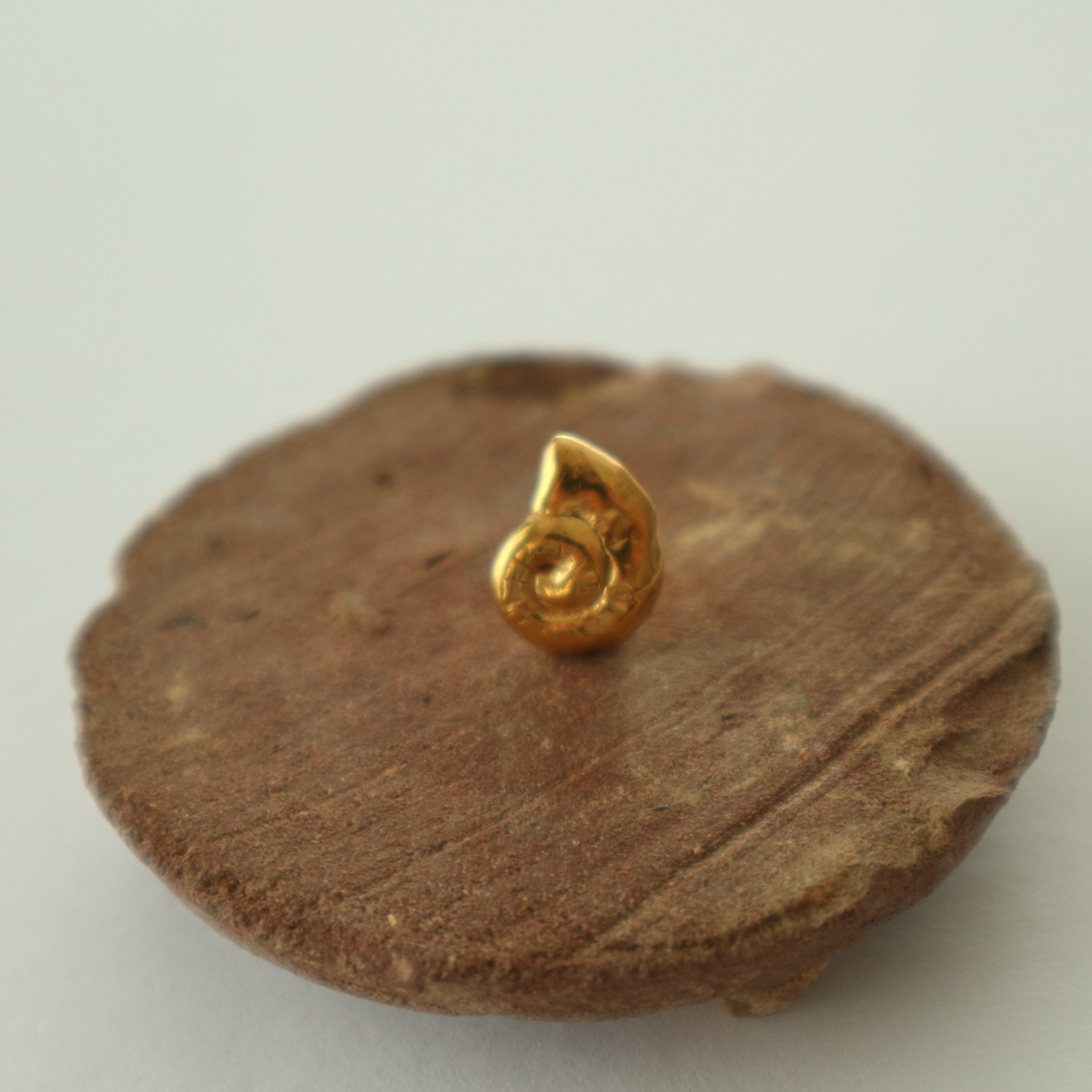 アンモナイト【ピンバッチ】