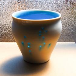 星座杯獅子座 第2張的照片