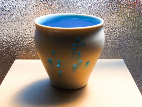 星座杯獅子座 第2張的照片