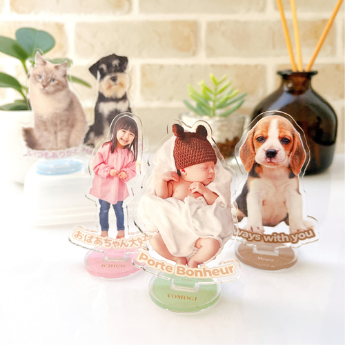 オーダーページ8/25紅葉わんこ☆275 限定パネルハンドメイド