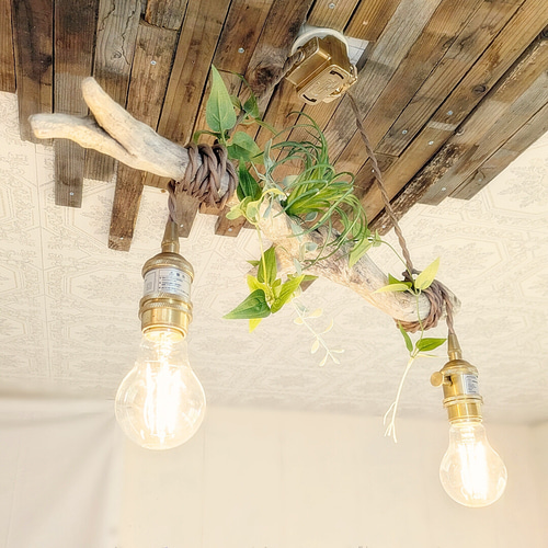 限定1台！ 流木のペンダントライト2灯 RYUKA LED電球セット ｜天井照明