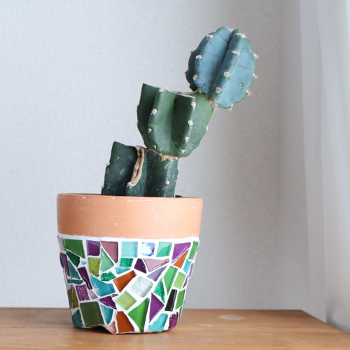 本日限定2個セット多肉少女 アート鉢 植物連鎖 backside works Amazon.co.jp: TKY 植木鉢 陶器鉢 多肉植物鉢 観葉植物 多肉植物