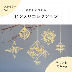 ヒンメリ用ストロー100本 その他素材 greenstyleforest 通販