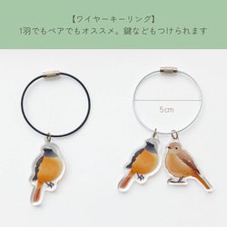 ハトさんコンビ（キジバトさん、ドバトさん）のアクリルチャーム　選べるワイヤーキーリング 3枚目の画像