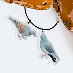ハトさんコンビ（キジバトさん、ドバトさん）のアクリルチャーム　選べるワイヤーキーリング 1枚目の画像