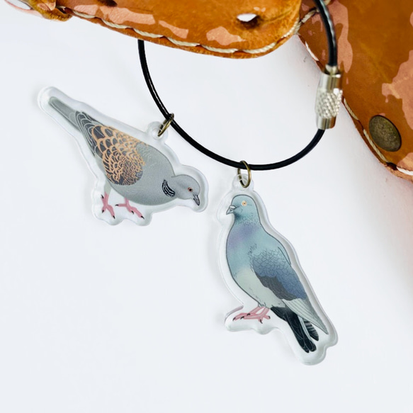 ハトさんコンビ（キジバトさん、ドバトさん）のアクリルチャーム　選べるワイヤーキーリング 1枚目の画像