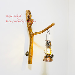 流木インテリア ランプや小物を飾れる天然流木の壁掛けスタンド ランタン 置物 北欧 照明 自然 N24 4枚目の画像