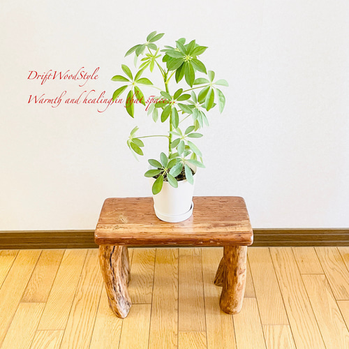 流木インテリア 古木風の舟板流木を使用したスツール 一点物 フラワー