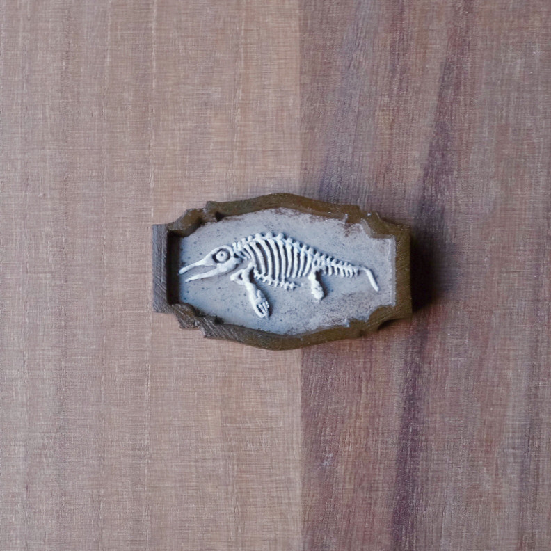 額縁ブローチ　オフタルモサウルス