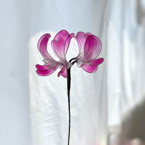 単品販売】蓮華草 1本 f3077 一輪挿し・花瓶・花器 Cuore 通販