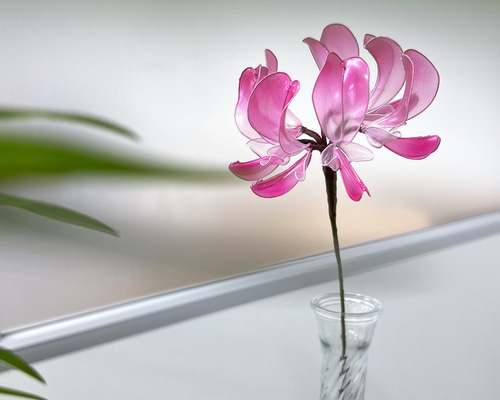 蓮華 60937bce9790a078486588f2ce04b6