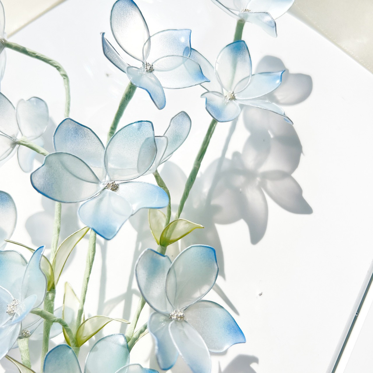 【お得なブーケ】デルフォニウムとカスミソウのブーケ ５本セット　b2028