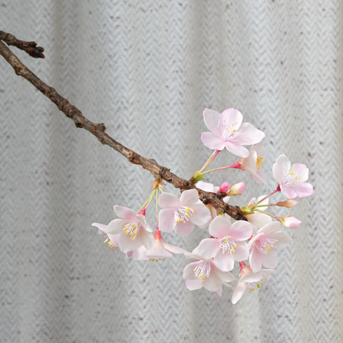 枯れない 桜 L 桜の枝使用 Géant（ジェアン）✿クレイフラワー NO.S3