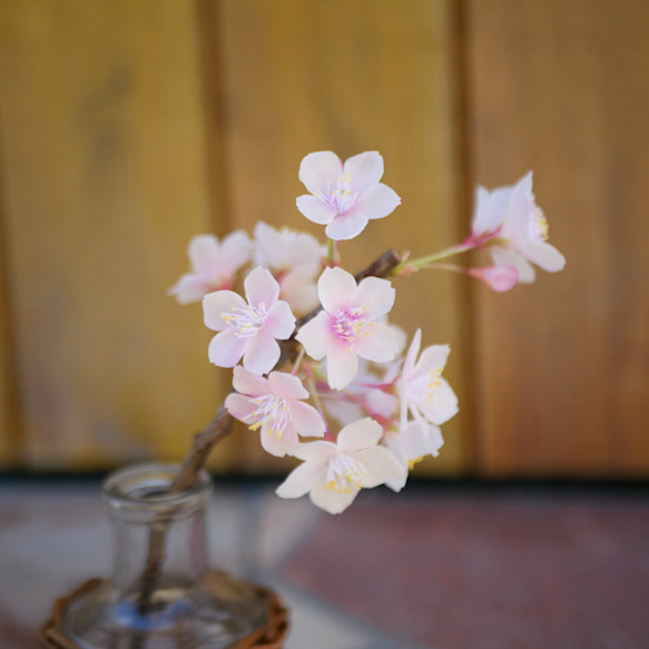 クレイフラワー　桜草 ☆クレイフラワー作品（春の訪れ・桜草ー2）☆ | iichi 日々の