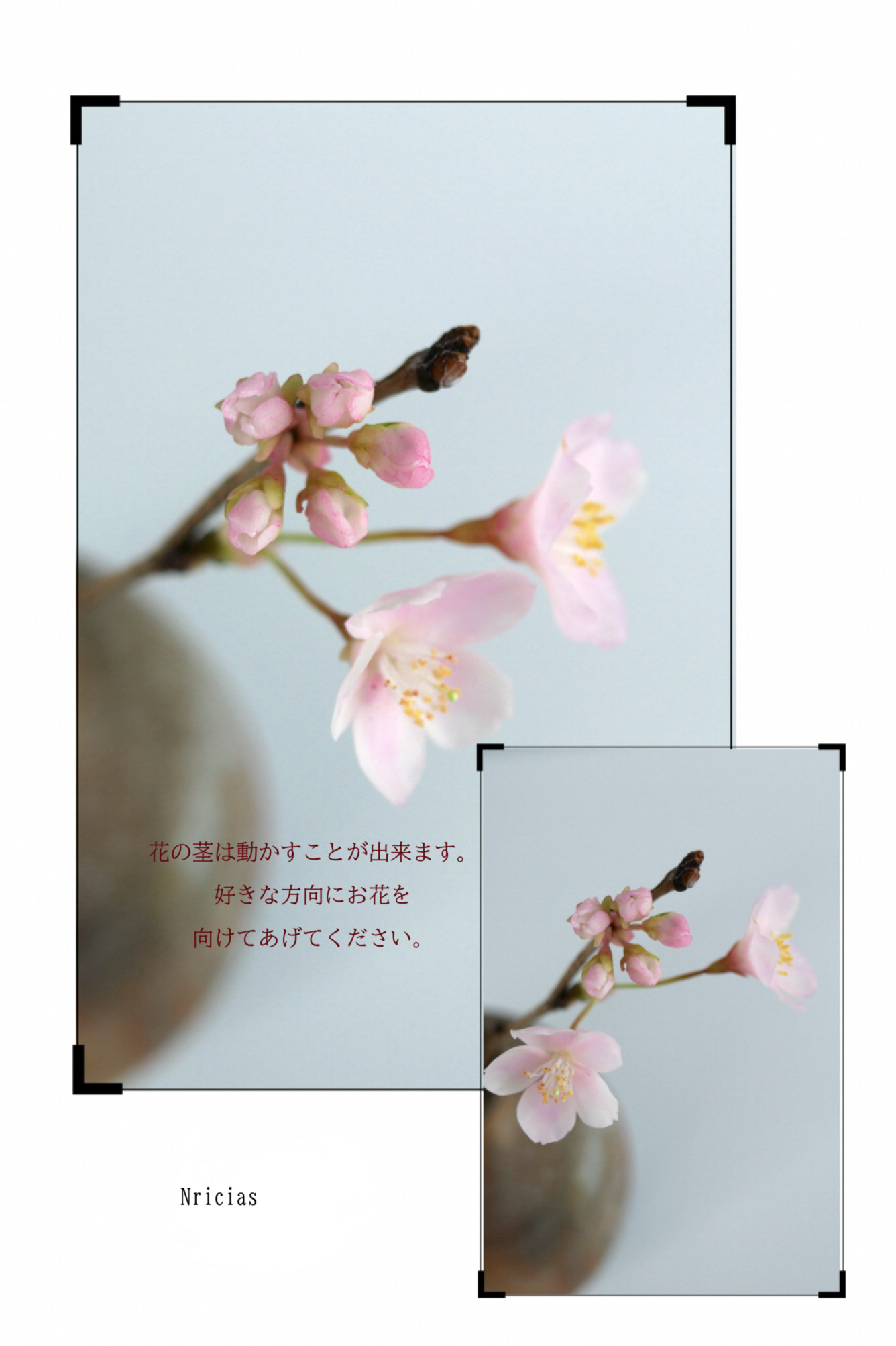 枯れない 桜 M　桜の枝使用 ✿クレイフラワー　NO.S3-edaM2