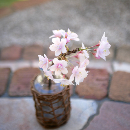 枯れない 桜 M 桜の枝使用 ✿クレイフラワー NO.S3-edaM2 アート