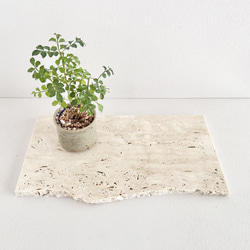 287ロマノトラバーチン（ 大理石端材プレート ） その他インテリア雑貨