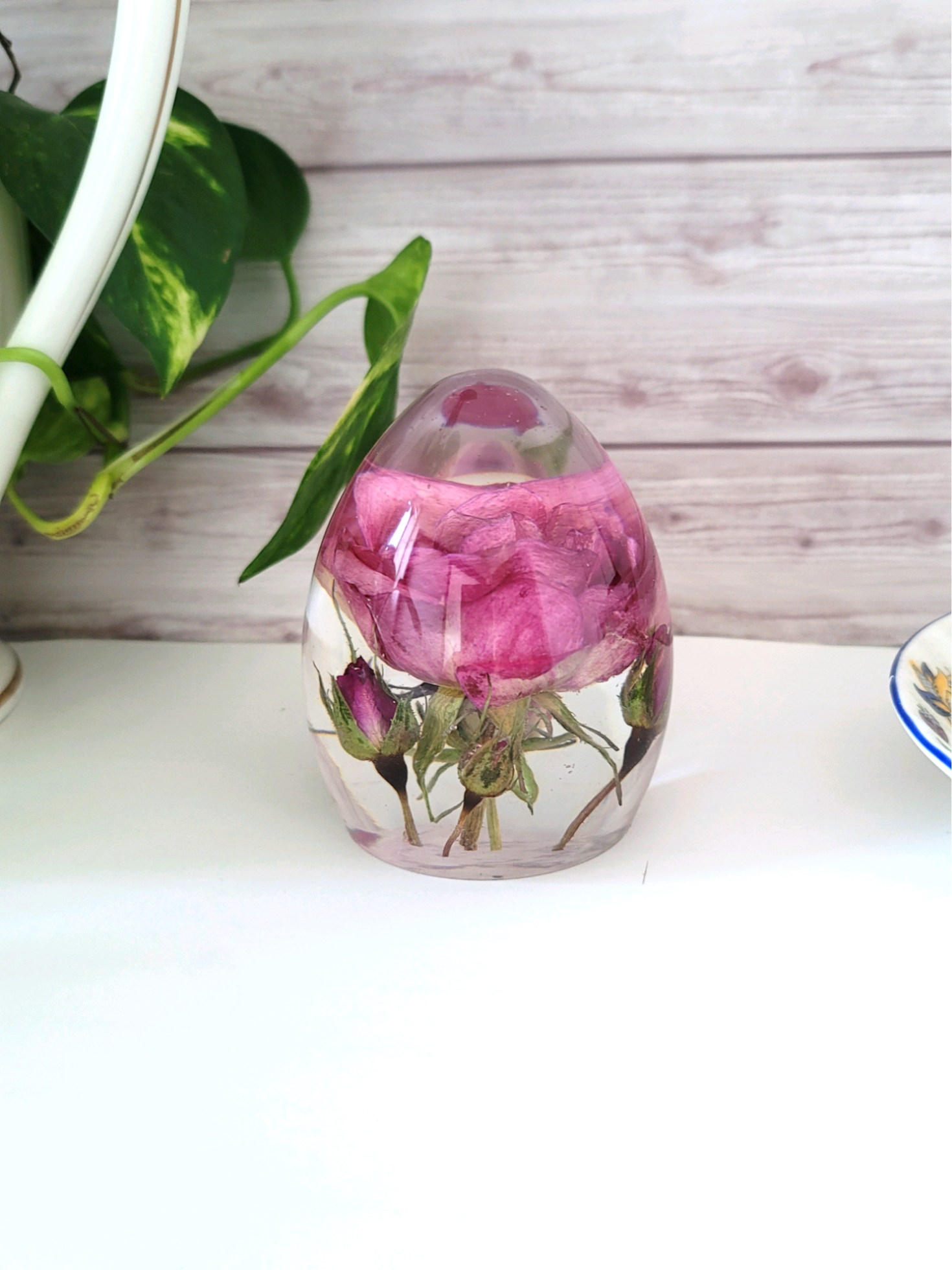 赤い薔薇/インテリア小物/薔薇/花/固まるハーバリウム/植物標本/フラワーレジン/レジンフラワー /4薔薇