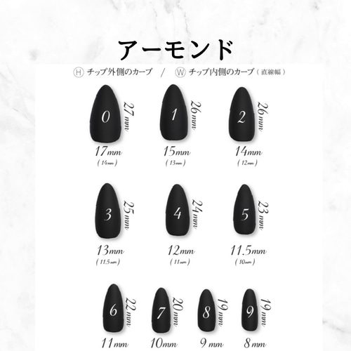 ［11］ネイルチップ ニュアンス モノトーン ホログラム ぷっくり オーダー モノトーン ホログラム ［11］ネイルチップ オーダー ぷっくり ニュアンス