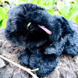 新月に生まれた黒色小ヤギ ぬいぐるみ ぬくのこ 通販 19627361｜Creema
