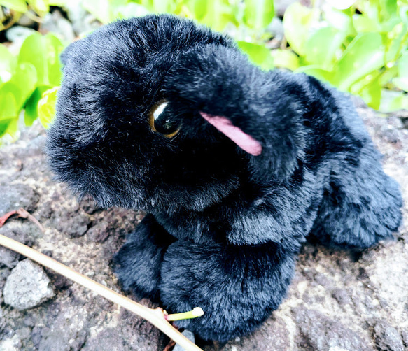 黒いヤギのぬいぐるみ Amazon.co.jp: yousyu リアルヒツジぬいぐるみ 黒ヤギ 山羊 抱き枕