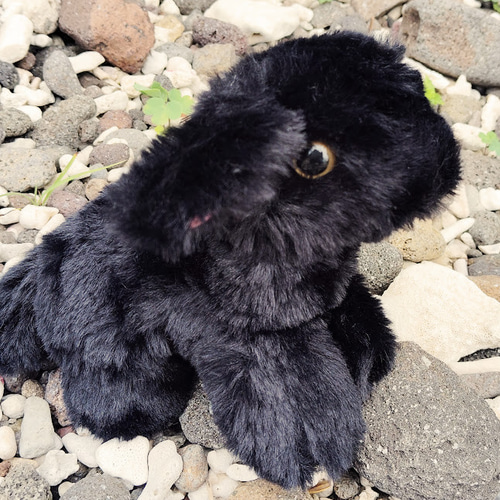 新月に生まれた黒色小ヤギ ぬいぐるみ ぬくのこ 通販 19627361｜Creema