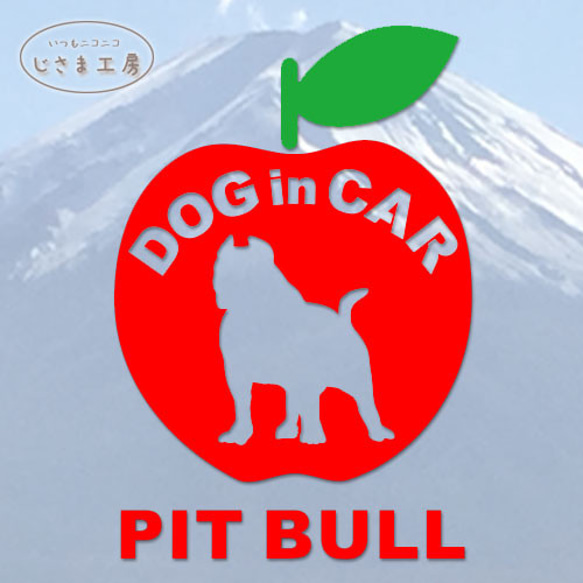 ピットブルのドッグインカ―かわいいアップルのステッカー‼ 1枚目の画像