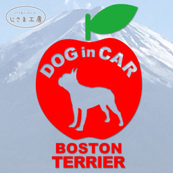 ボストンテリアのドッグインカ―かわいいアップルのステッカー‼ 1枚目の画像